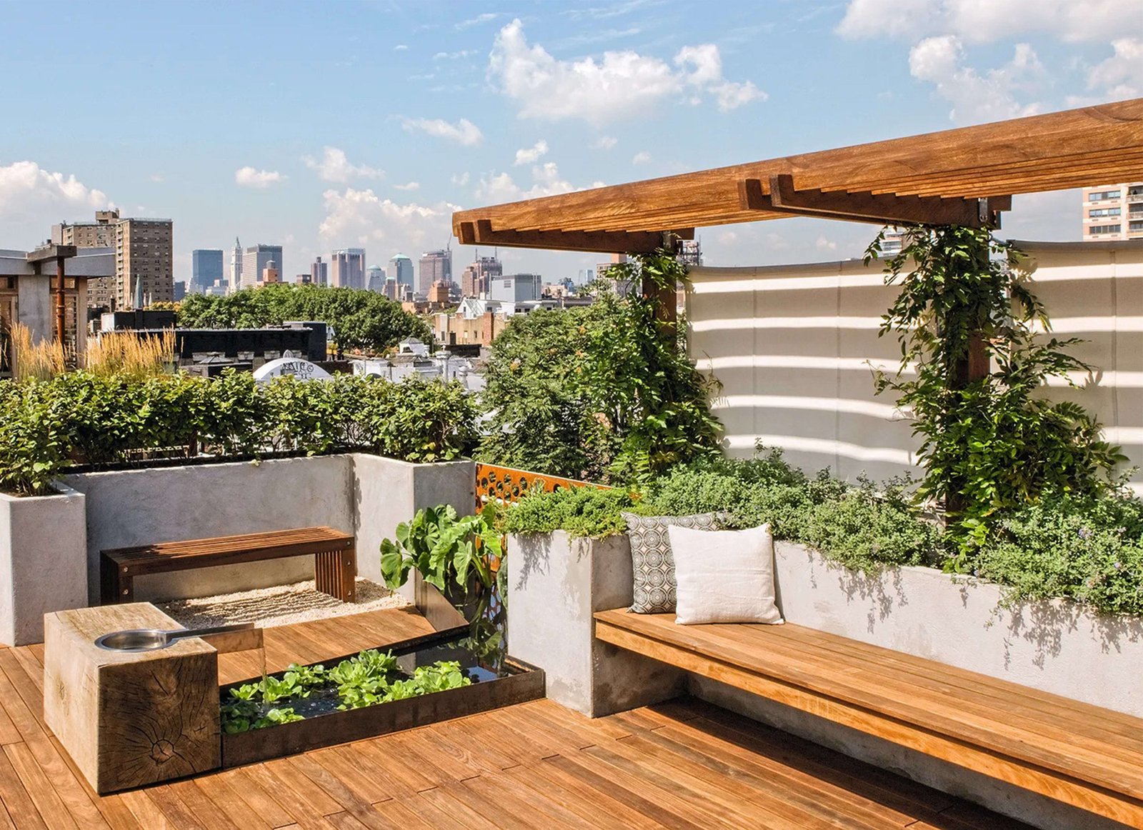 Rooftop Gardening in Bangladesh: Tips for a Thriving Urban Garden