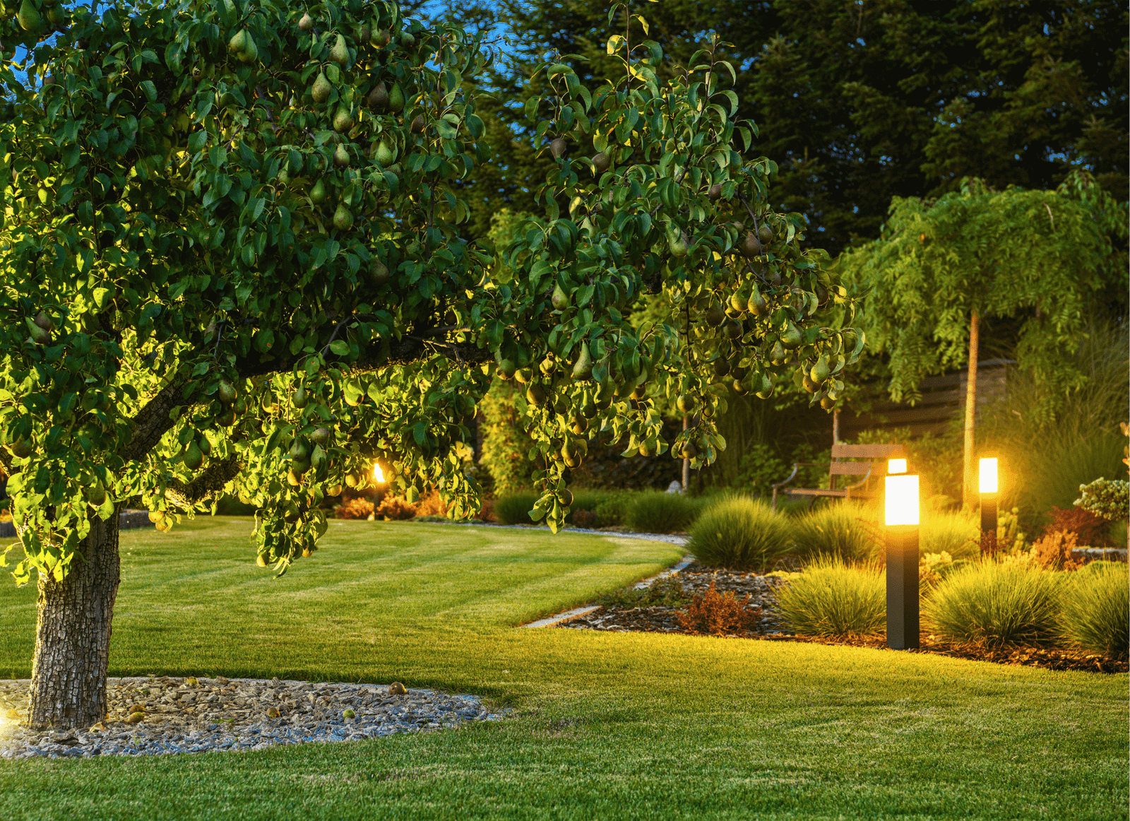 Garden Light Price in Bangladesh: A Comprehensive Guide
