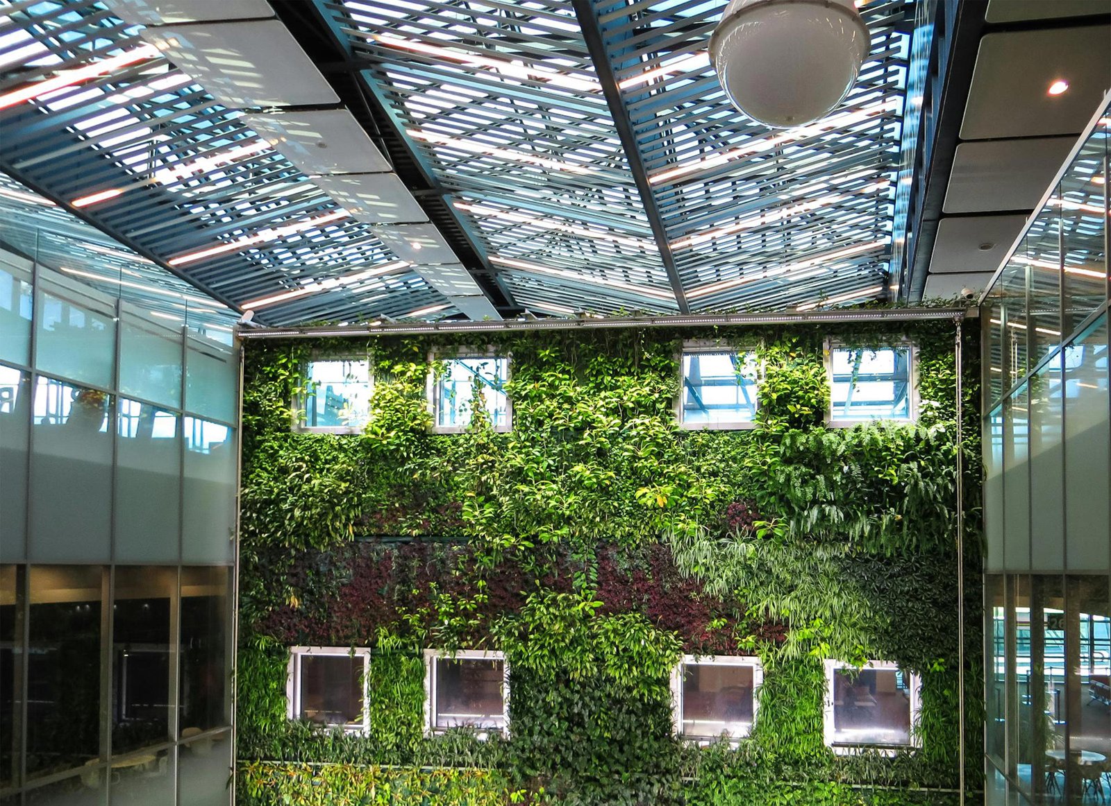 Best Vertical Garden Ideas: Transforming Small Spaces