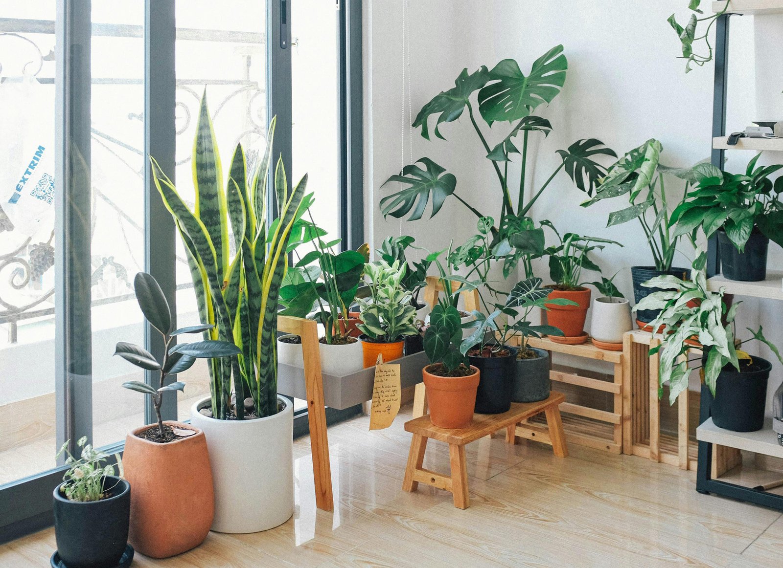 Transforming Your Home with an Indoor Garden: A Guide for Bangladesh