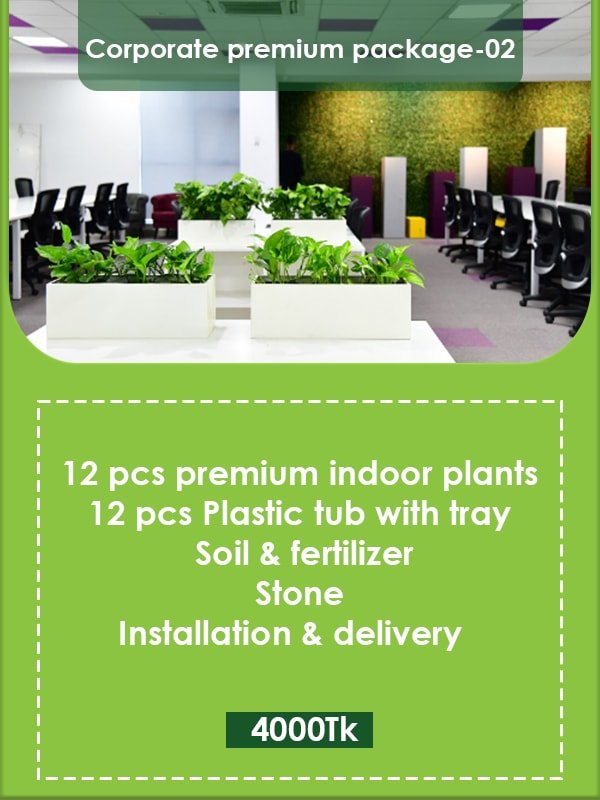 Corporate Premium Package 02 Image