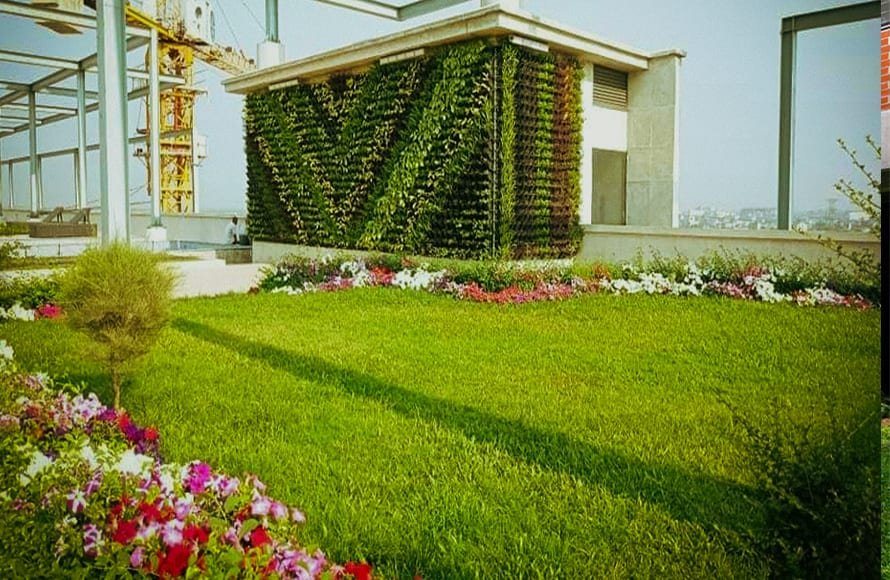 Commercial  Landscape