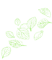 Your Image
